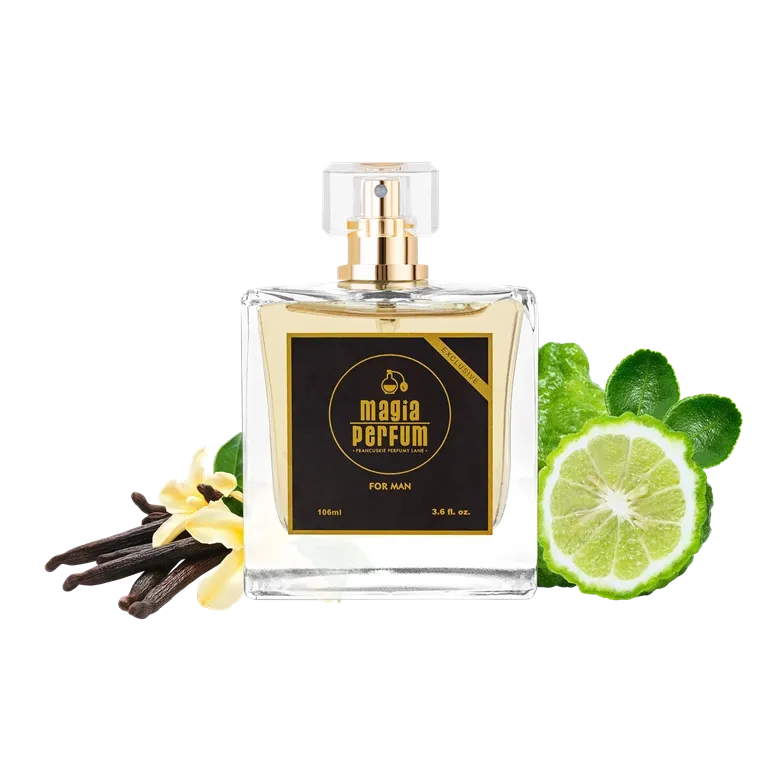 zamiennik Hugo Boss Boss The Scent Magnetic